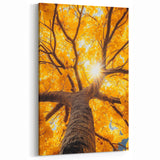 Golden Canopy – Tree Art Prints & Nature-Inspired Wall Decor