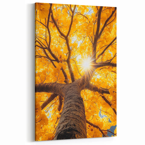Golden Canopy – Tree Art Prints & Nature-Inspired Wall Decor