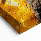 Golden Canopy – Tree Art Prints & Nature-Inspired Wall Decor