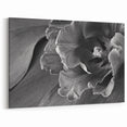 Monochrome Tulip Bloom - Fine Art Photography Framed Prints