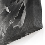 Monochrome Tulip Bloom - Fine Art Photography Framed Prints