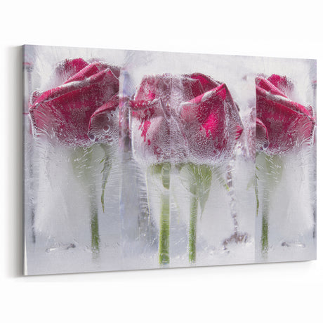Frozen Roses Elegance - Fine Art Photography Acrylic Prints