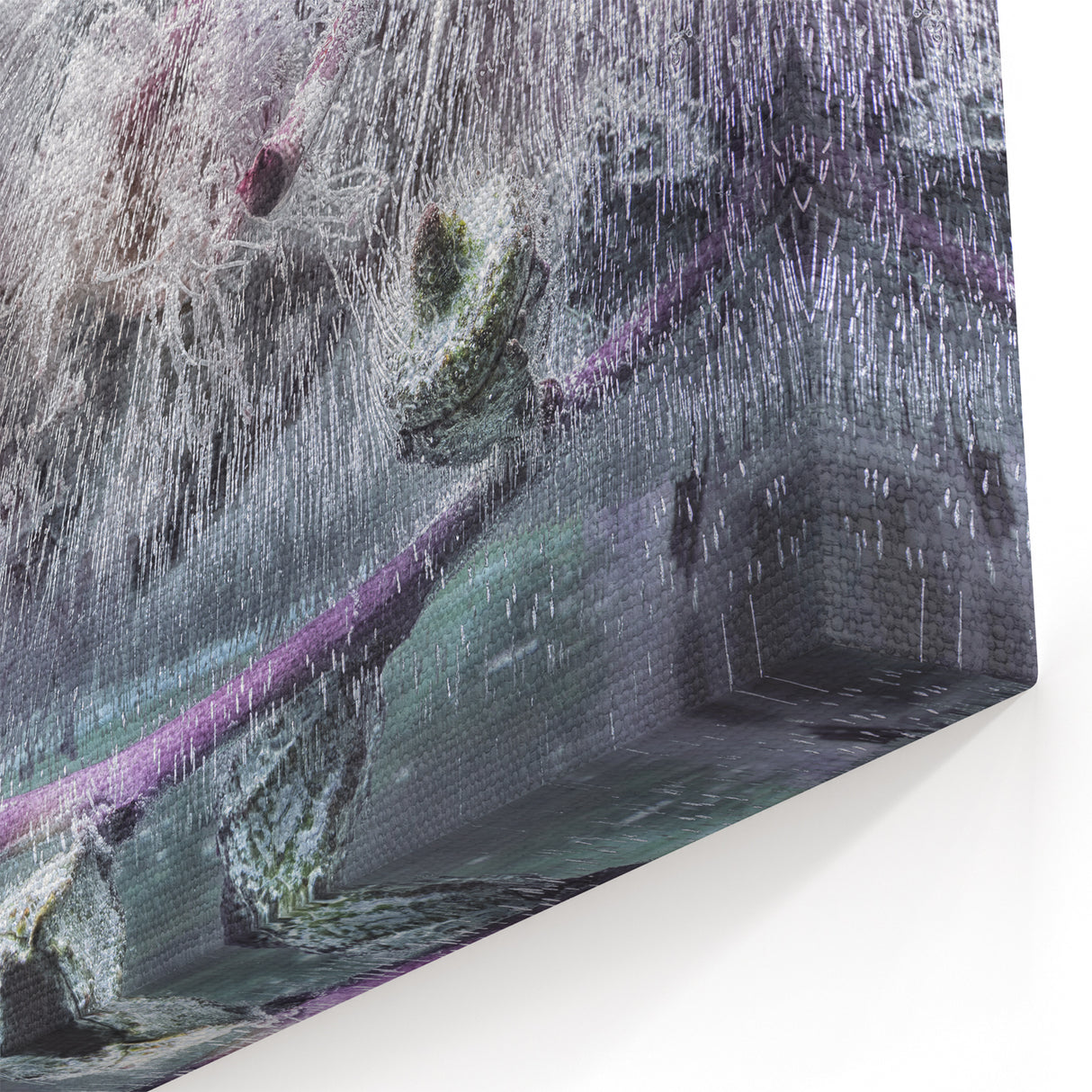 Frozen Botanical Elegance - Fine Art Photography Canvas Prints
