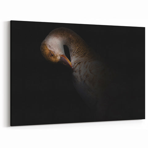 Minimalist Goose Portrait - Fine Art Photography Wall Decor