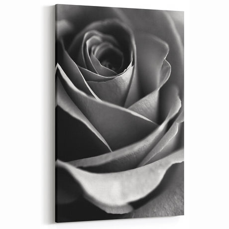 Black and White Rose - Fine Art Photography Canvas Print