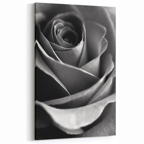 Black and White Rose - Fine Art Photography Canvas Print