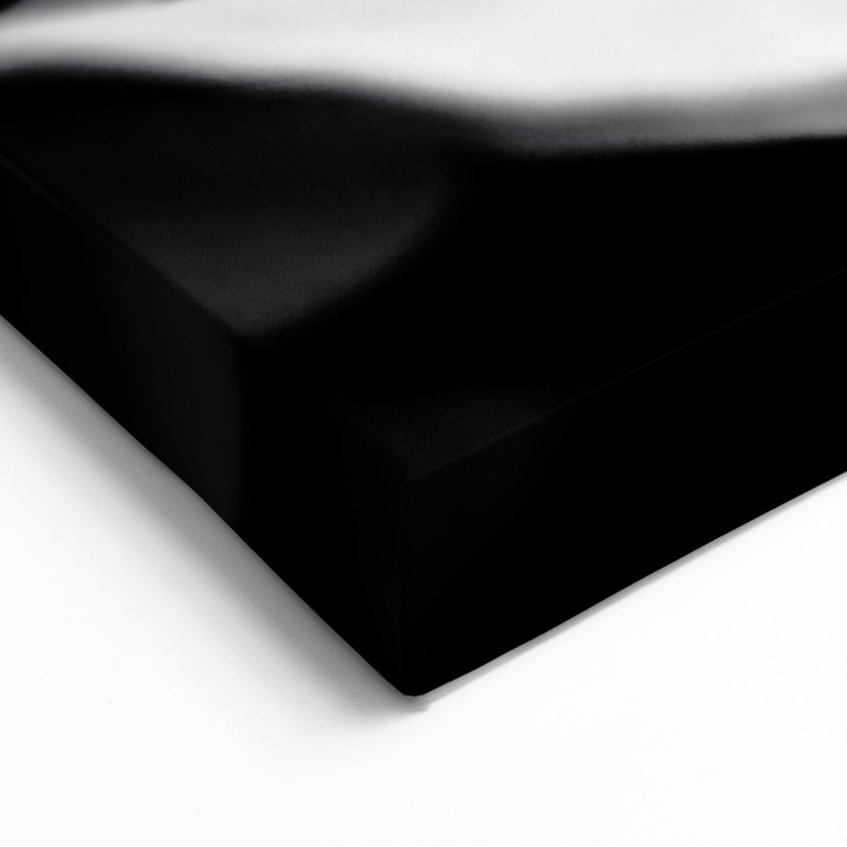 Black and White Rose - Fine Art Photography Canvas Print