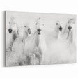 Wild Horses in Motion - Black & White Fine Art Photography