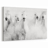 Wild Horses in Motion - Black & White Fine Art Photography