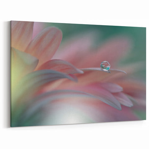 Dreamy Macro Floral - Soft Pastel Fine Art Photography
