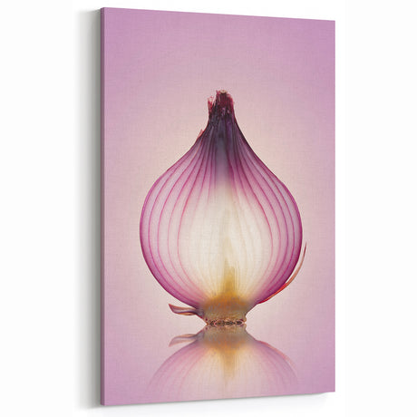 Translucent Red Onion – Fine Art Kitchen Photography Print