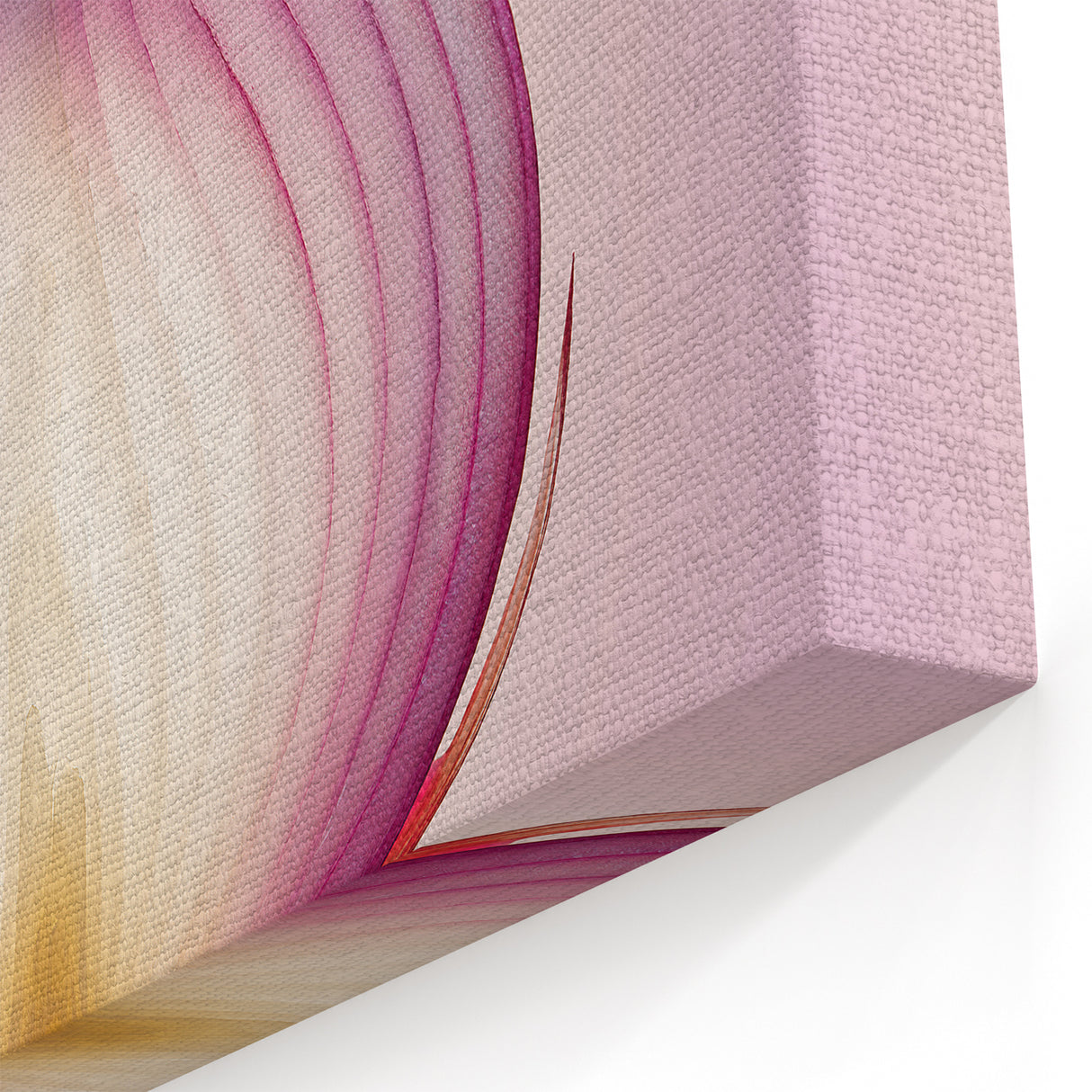 Translucent Red Onion – Fine Art Kitchen Photography Print