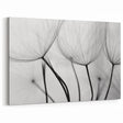Ethereal Dandelion Seeds – Black & White Fine Art Photography