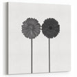 Floral Symmetry - Fine Art Photography Framed Prints