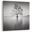 Solitary Tree Reflection - Fine Art Photography Framed Prints