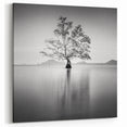 Solitary Tree Reflection - Fine Art Photography Framed Prints