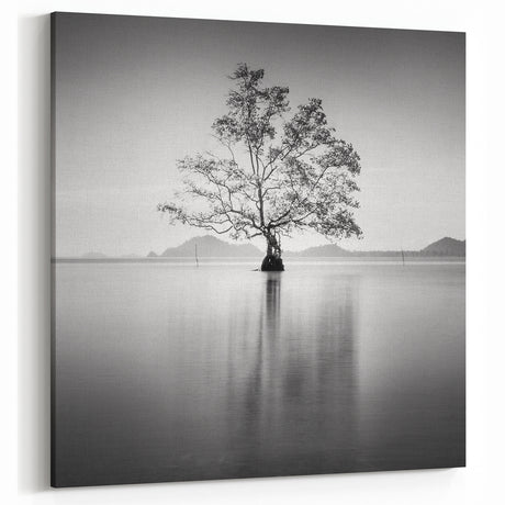 Solitary Tree Reflection - Fine Art Photography Framed Prints