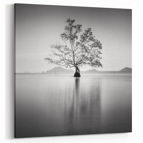 Solitary Tree Reflection - Fine Art Photography Framed Prints