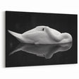 Resting Swan Reflection - Fine Art Photography Acrylic Prints