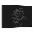 Black Rose Elegance - Fine Art Photography Canvas Prints