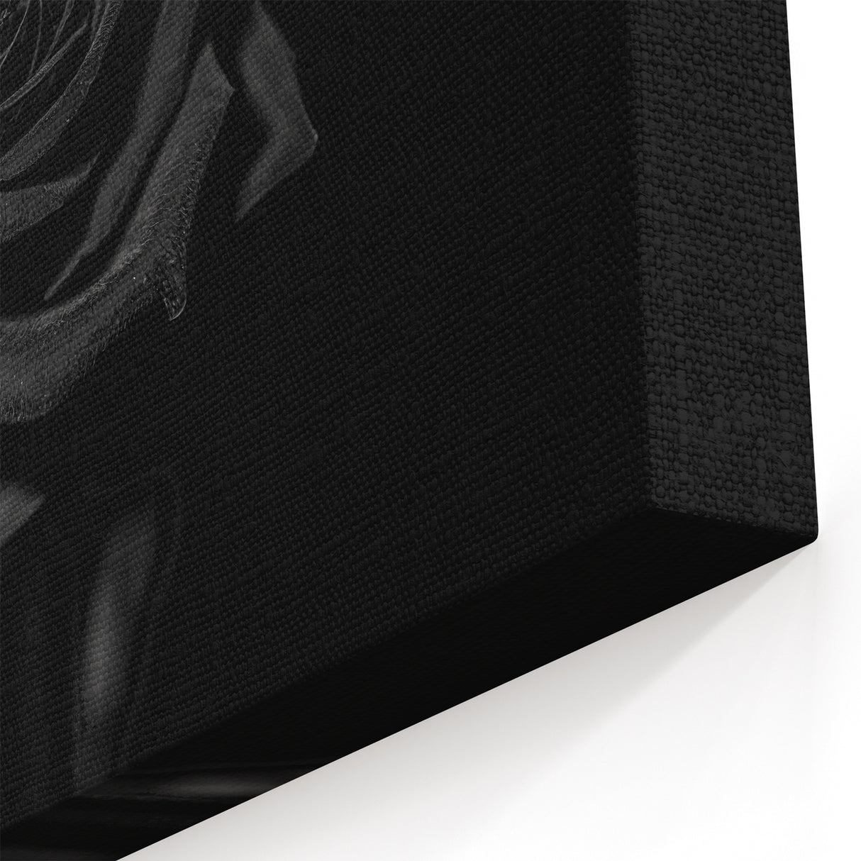 Black Rose Elegance - Fine Art Photography Canvas Prints