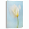 Dreamy Tulip in Soft Focus - Fine Art Photography Canvas Prints