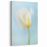Dreamy Tulip in Soft Focus - Fine Art Photography Canvas Prints