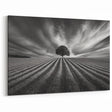 Lone Tree Horizon – Fine Art Photography Canvas Prints