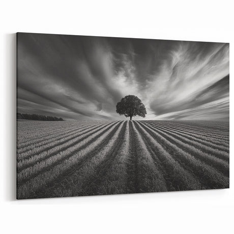 Lone Tree Horizon – Fine Art Photography Canvas Prints