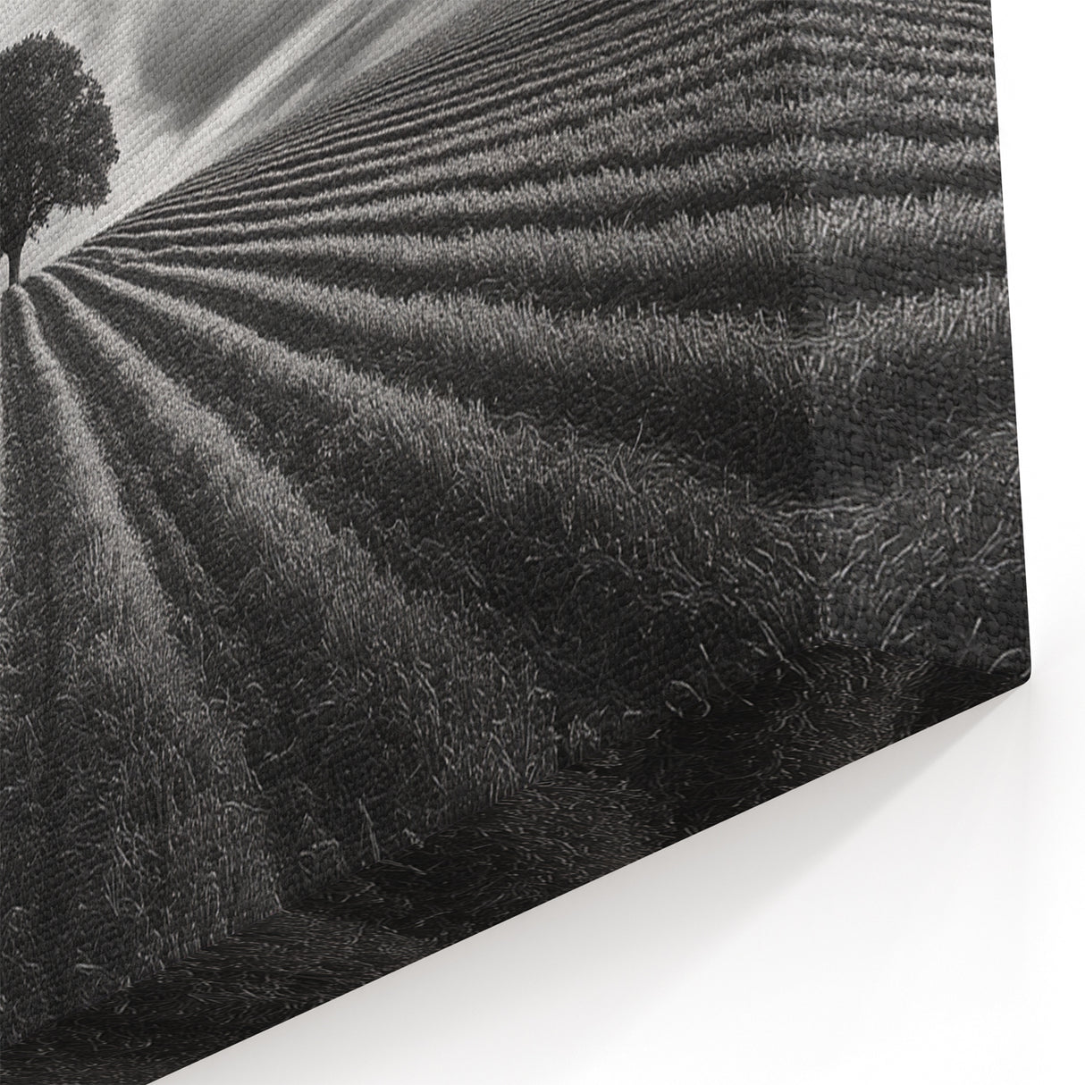 Lone Tree Horizon – Fine Art Photography Canvas Prints