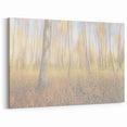 Tranquil Nature Canvas Prints – Rainy Forest Through Glass