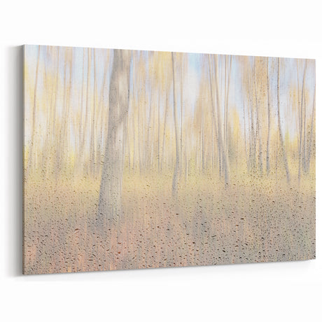 Tranquil Nature Canvas Prints – Rainy Forest Through Glass