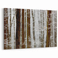 Serene Landscape Photography Prints – Winter Wonderland Wall Art