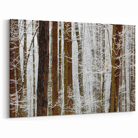 Serene Landscape Photography Prints – Winter Wonderland Wall Art