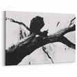 Bold Black and White Abstract Wall Art - Organic Expression Canvas