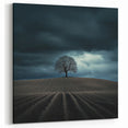 Black and White Minimalist Landscapes – Dramatic Stormy Tree Print