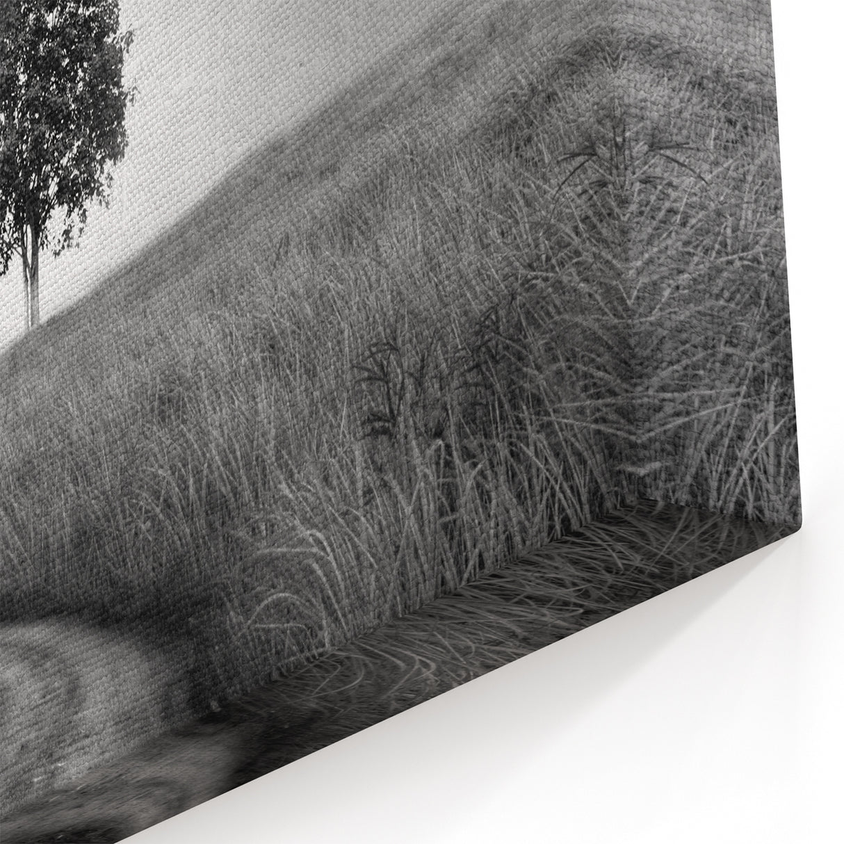 Minimalist Landscape Wall Art – Black and White Tree Scene Print