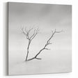 Minimalist Landscape Wall Art – Solitary Branch in Soft Mist