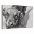 Urban Architectural Wall Art – Black and White Dog Photography