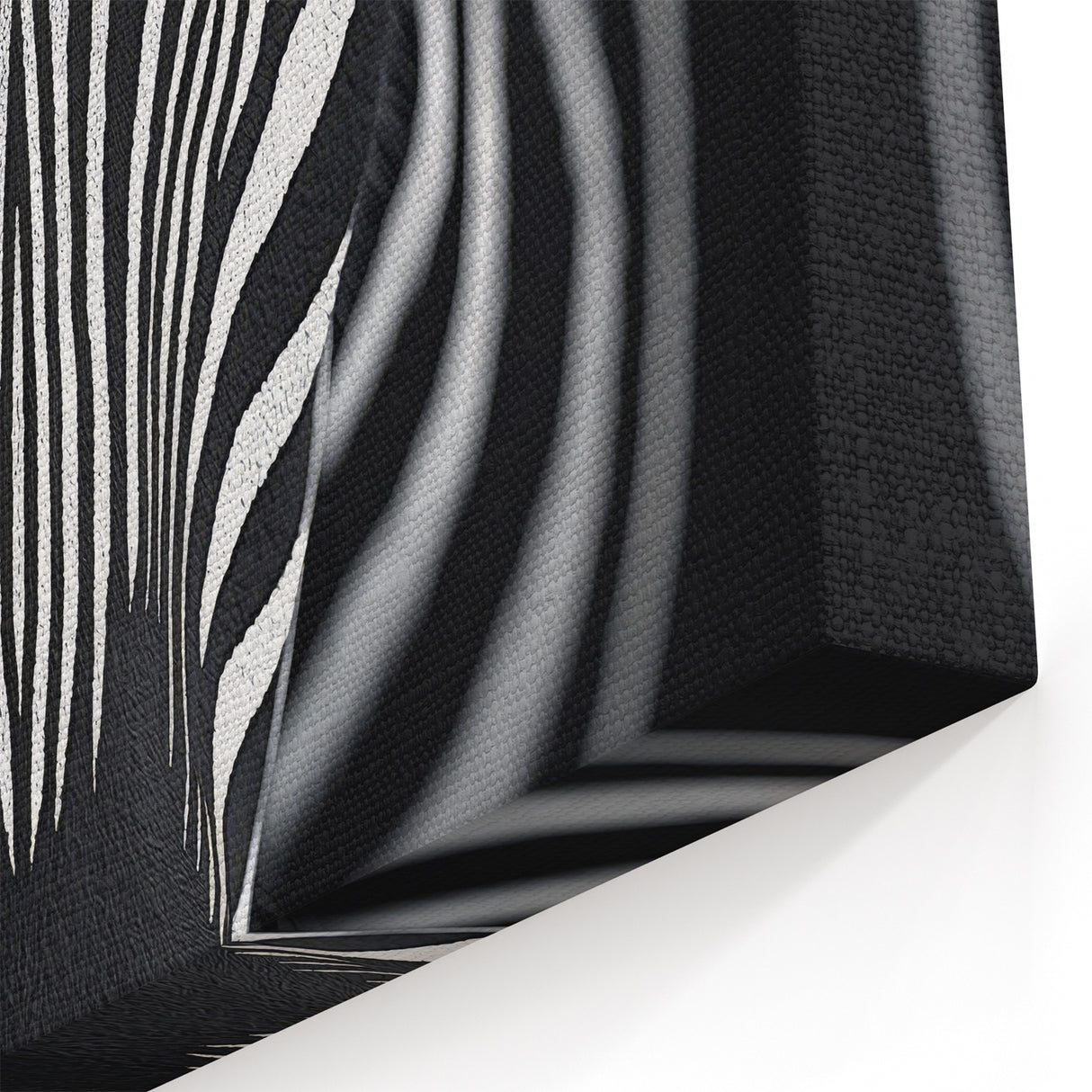 High Contrast Abstract Paintings – Zebra-Inspired Monochrome Art