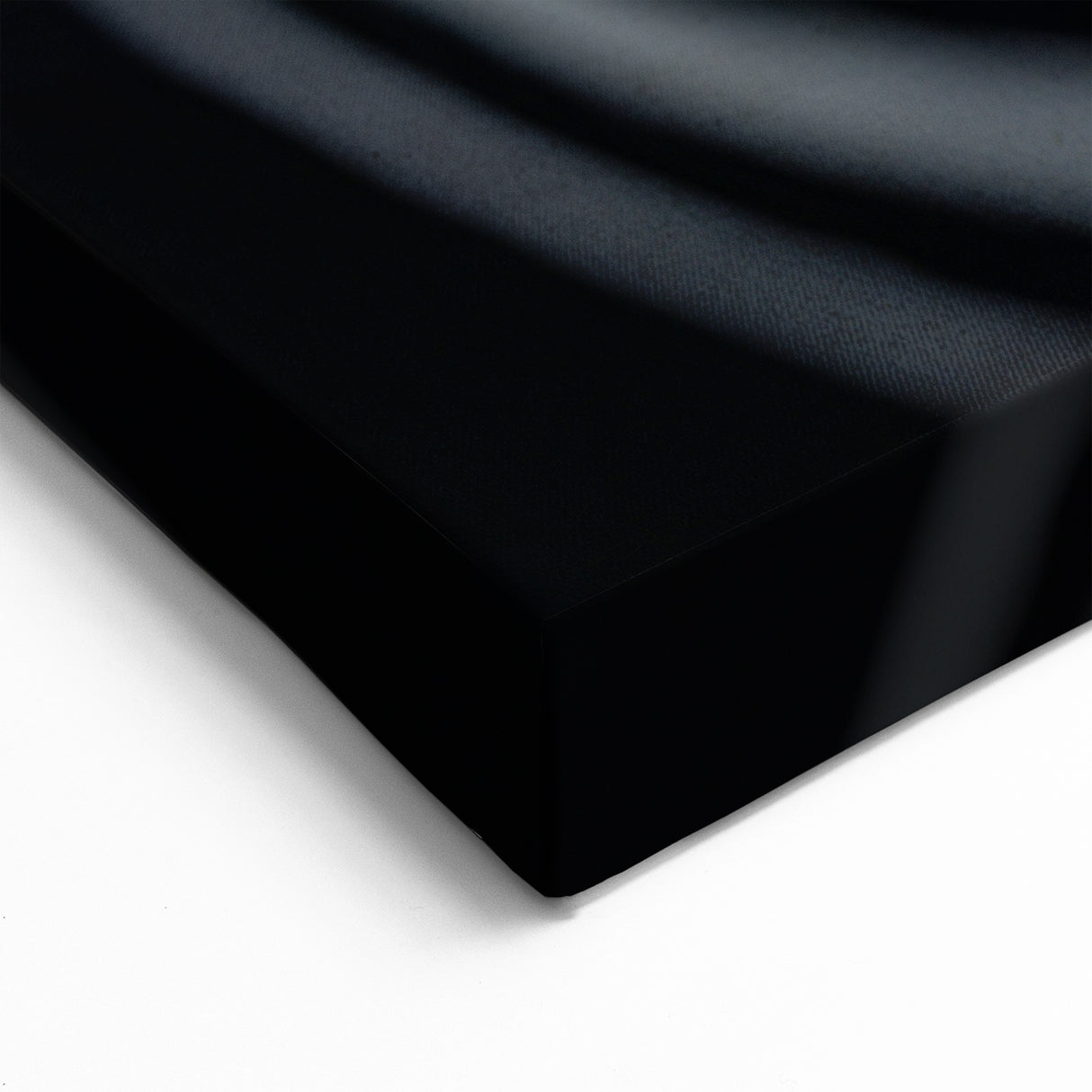 High Contrast Abstract Paintings – Zebra-Inspired Monochrome Art