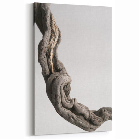 Modern Abstract Canvas Prints – Organic Gray and Brown Texture