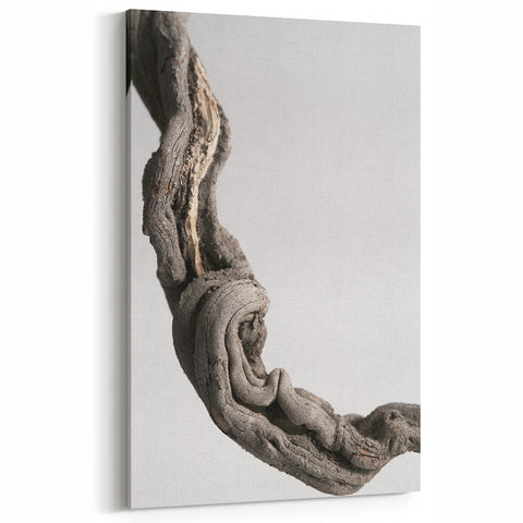 Modern Abstract Canvas Prints – Organic Gray and Brown Texture