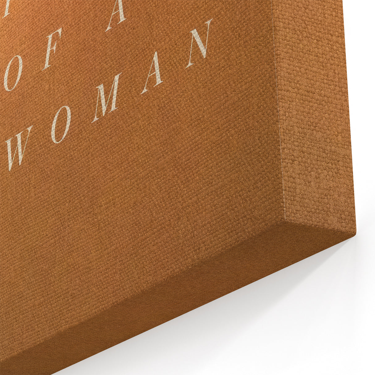 Pieces of a Woman 2020s Vintage Movie Poster – Retro Wall Print