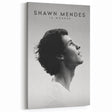2020s Vintage Movie Poster - Shawn Mendes: In Wonder Documentary Art