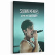 2020s Vintage Movie Poster - Shawn Mendes Live in Concert Music Art