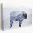 Colorful and vibrant animal-themed canvas print showcasing a majestic lion in a lush jungle setting, ideal for home decor and wildlife enthusiasts.