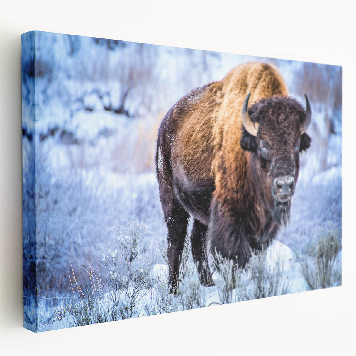 Vibrant, colorful animal illustration featuring a detailed lion in a lush jungle setting, ideal for wildlife enthusiasts and home decor. Perfect for adding a touch of nature to any space.