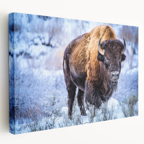 Vibrant, colorful animal illustration featuring a detailed lion in a lush jungle setting, ideal for wildlife enthusiasts and home decor. Perfect for adding a touch of nature to any space.