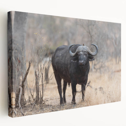 Vibrant and colorful African animal wall art featuring intricate tribal patterns, showcasing a majestic lion surrounded by vivid earthy tones, perfect for home decor enhancement.